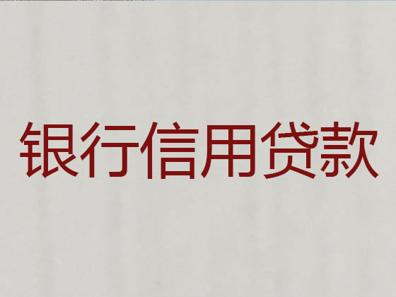 保亭贷款中介公司-信用贷款